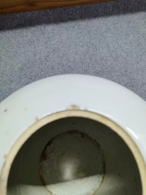 古玩陶瓷粉彩仙鶴牡丹紋冬瓜罐真品鑒賞圖