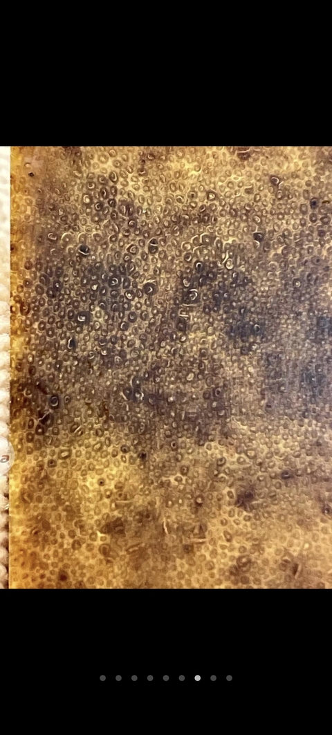 古玩雜項(xiàng)披毛犀角真品鑒賞圖