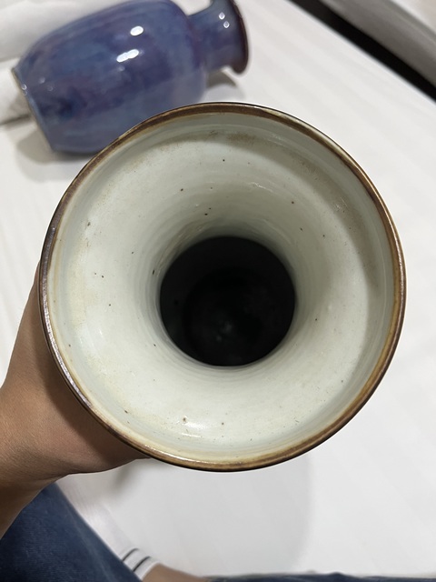 古玩陶瓷道光 霽藍釉雙耳瓶真品鑒賞圖