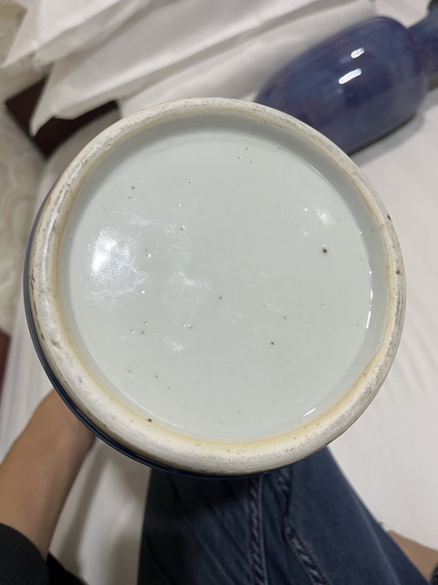 古玩陶瓷道光 霽藍釉雙耳瓶真品鑒賞圖