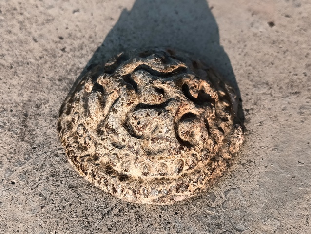 古玩陶瓷古代銀幣真品鑒賞圖