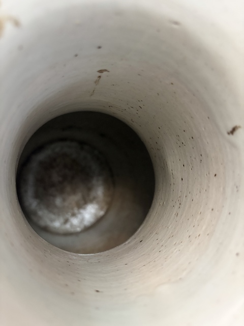 古玩陶瓷豆青釉青花獅子紋雙耳瓶真品鑒賞圖