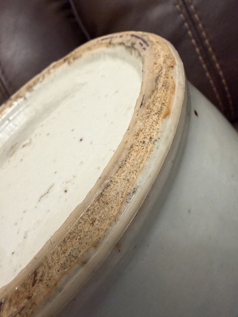 古玩陶瓷豆青釉青花獅子紋雙耳瓶真品鑒賞圖