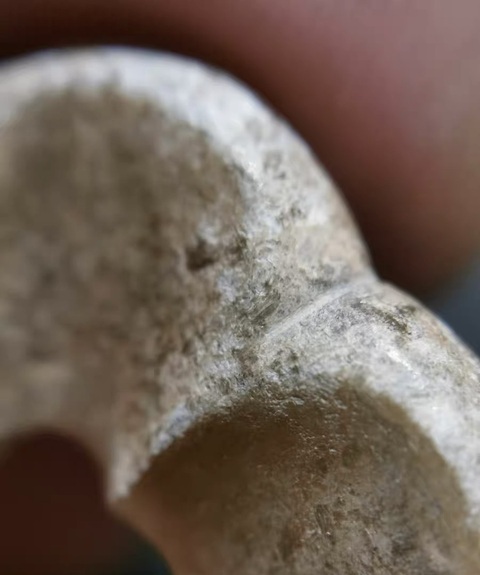 古玩玉器玉雕海棠環真品鑒賞圖