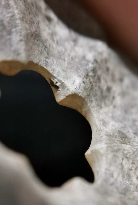 古玩玉器玉雕海棠環真品鑒賞圖