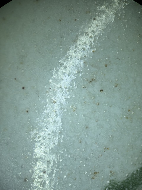 古玩陶瓷日本瓷真品鑒賞圖