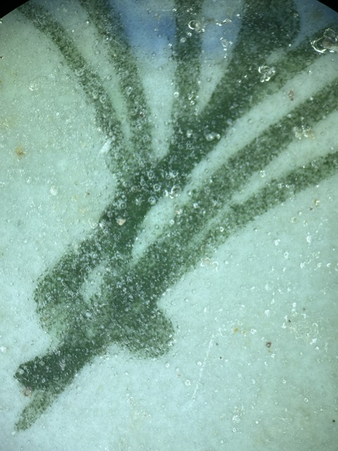 古玩陶瓷日本瓷真品鑒賞圖