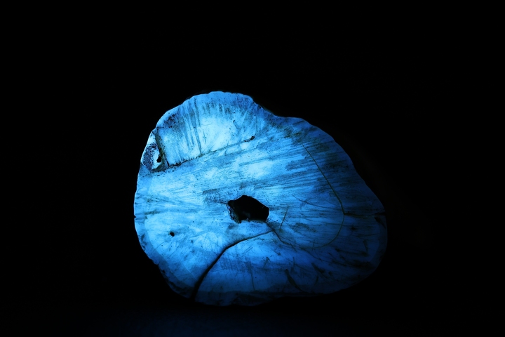 古玩雜項牙尖真品鑒賞圖