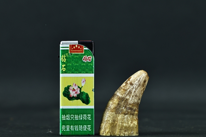 古玩雜項牙尖真品鑒賞圖