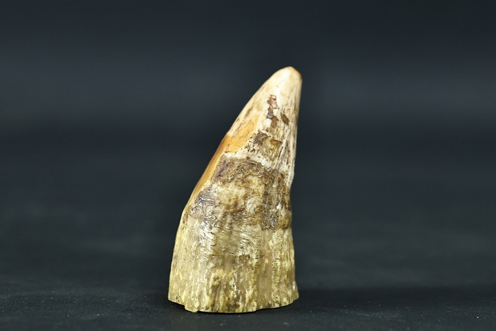 古玩雜項牙尖真品鑒賞圖