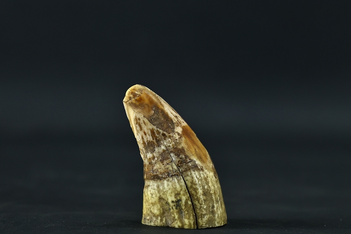 古玩雜項牙尖真品鑒賞圖