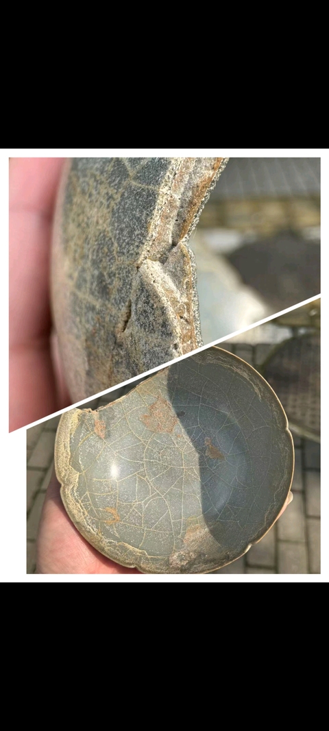 古玩陶瓷南宋官窯葵口盞真品鑒賞圖