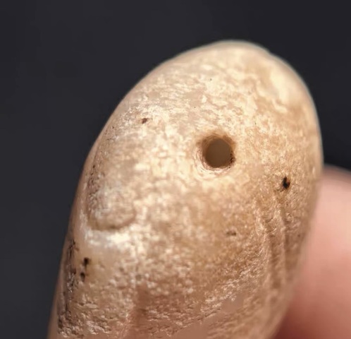 古玩玉器仿古玉蟬真品鑒賞圖