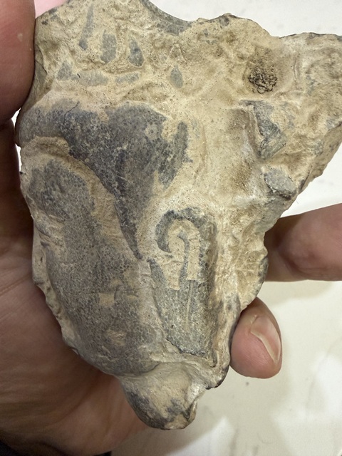 古玩雜項石雕造像殘首真品鑒賞圖