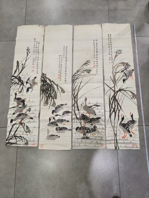 古玩字畫蘆雁四屏真品鑒賞圖