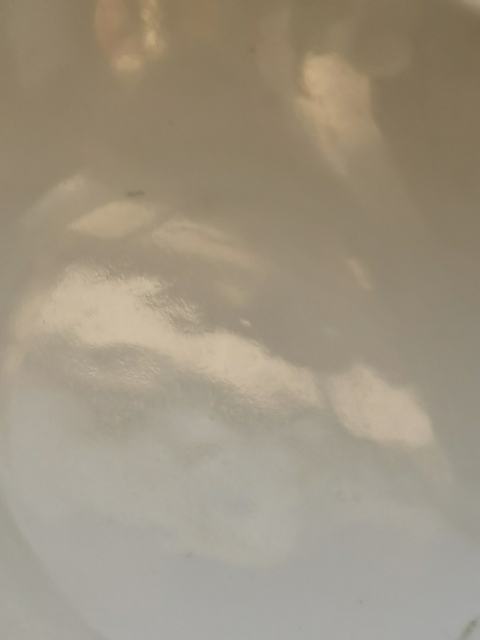 古玩陶瓷松石綠地堆白花卉紋碗真品鑒賞圖