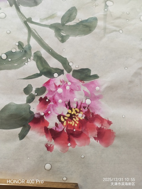 古玩字畫寫意牡丹橫幅真品鑒賞圖