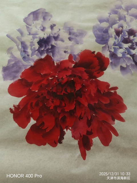 古玩字畫寫意牡丹橫幅真品鑒賞圖