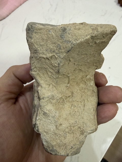 古玩雜項石雕造像殘首真品鑒賞圖