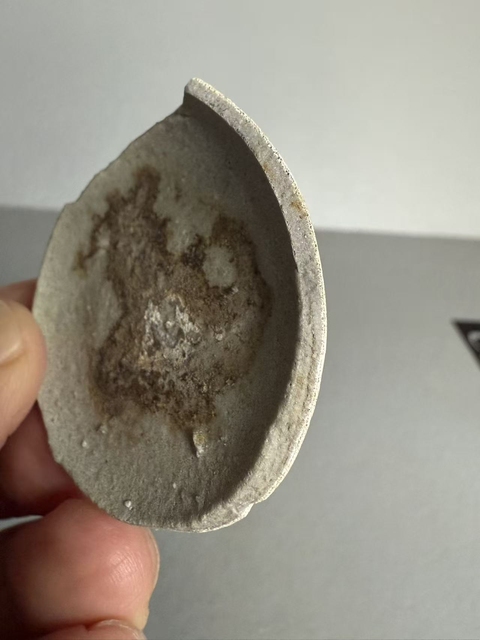 古玩陶瓷官窯低齡頭標本真品鑒賞圖