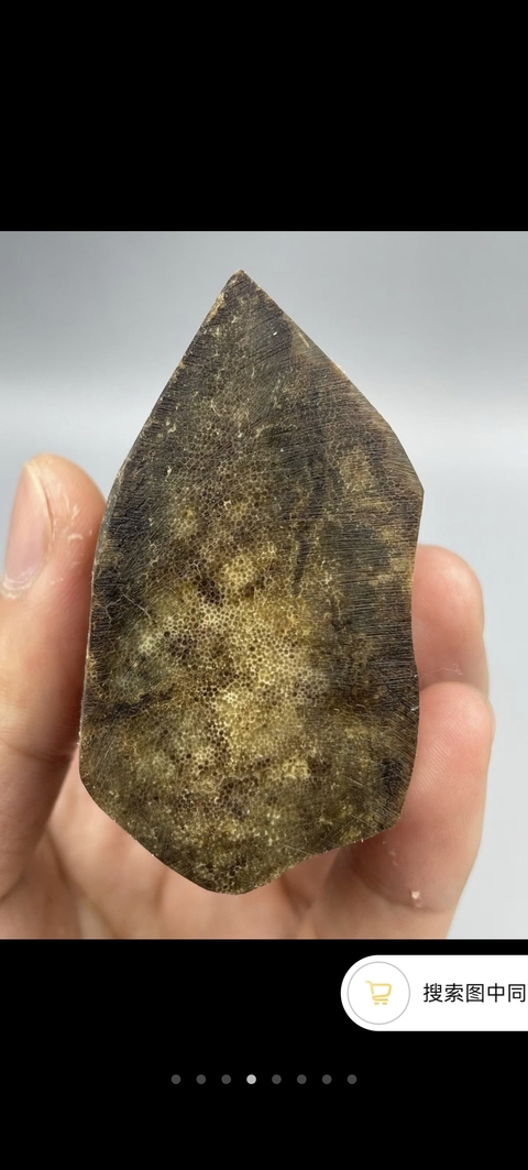 古玩雜項披毛犀角料真品鑒賞圖