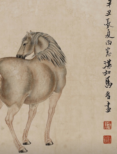 古玩字畫駿馬圖真品鑒賞圖