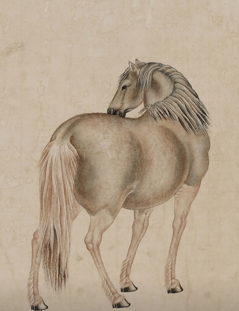 古玩字畫駿馬圖真品鑒賞圖