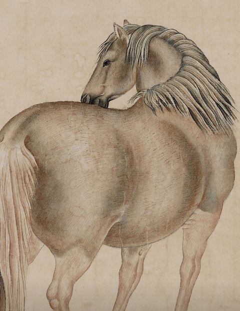 古玩字畫駿馬圖真品鑒賞圖