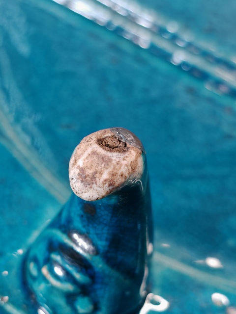 古玩陶瓷孔雀藍釉半圓書幾真品鑒賞圖