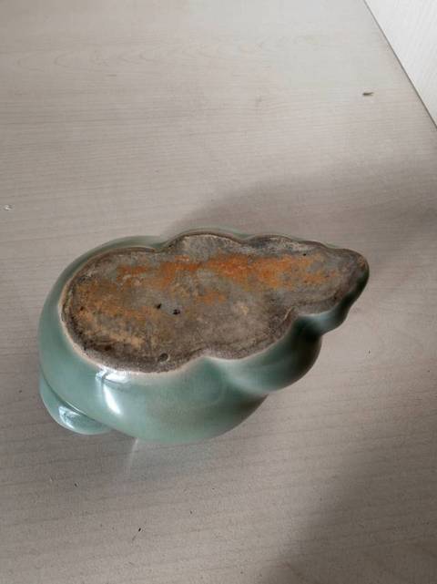 古玩陶瓷青釉法螺真品鑒賞圖