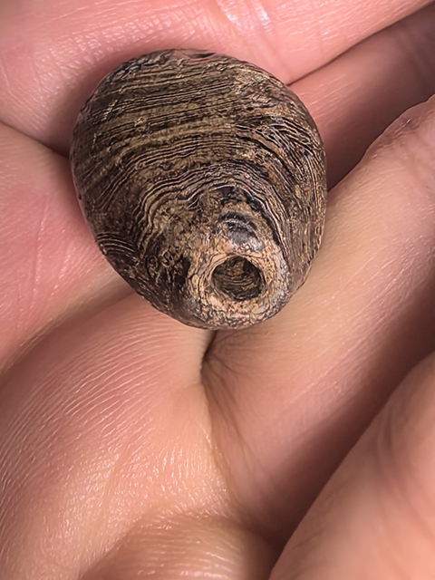 古玩玉器老瑪瑙橄欖珠真品鑒賞圖