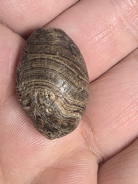 古玩玉器老瑪瑙橄欖珠真品鑒賞圖