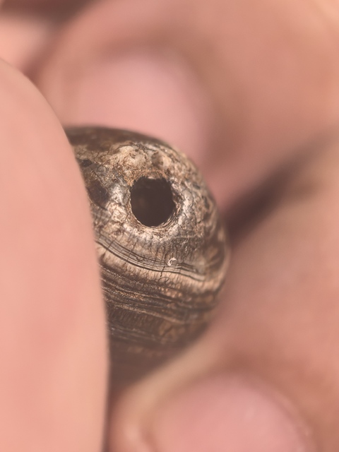 古玩玉器老瑪瑙橄欖珠真品鑒賞圖