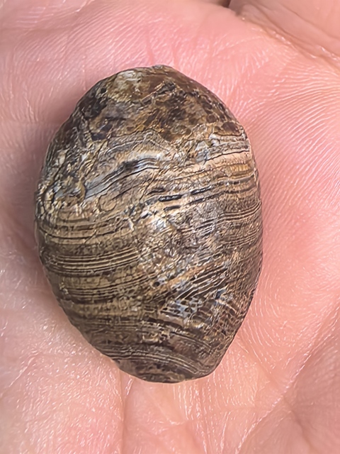 古玩玉器老瑪瑙橄欖珠真品鑒賞圖