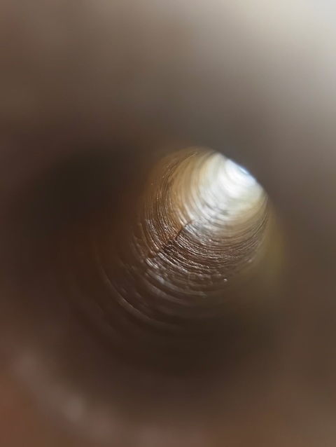 古玩玉器透閃石玉勒真品鑒賞圖