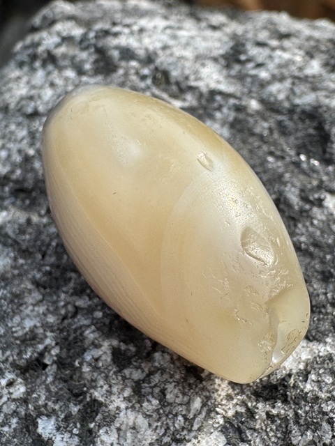 古玩雜項(xiàng)瑪瑙珠真品鑒賞圖