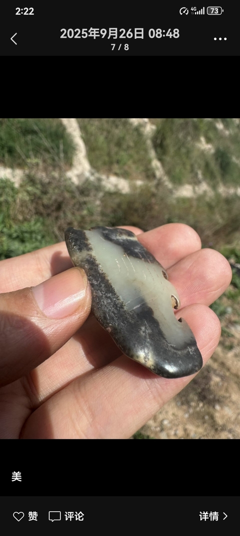 古玩玉器仿商周時期玉鳥形佩真品鑒賞圖