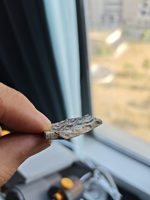 古玩陶瓷當陽峪窯絞胎標本真品鑒賞圖