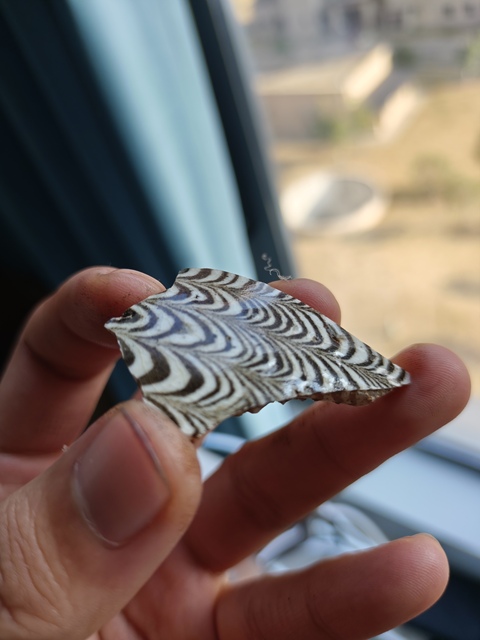 古玩陶瓷當陽峪窯絞胎標本真品鑒賞圖