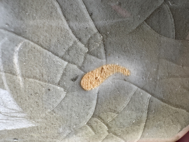 古玩陶瓷龍泉青釉三足筒爐真品鑒賞圖