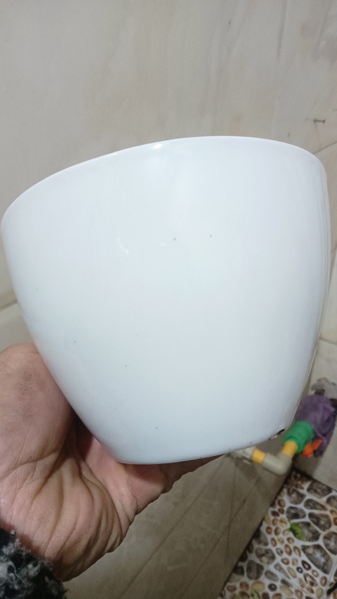 古玩陶瓷白釉大把杯真品鑒賞圖