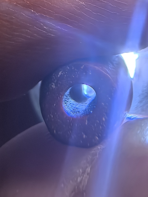 古玩玉器雞肝瑪瑙珠真品鑒賞圖