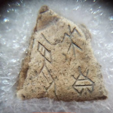 古玩雜項甲骨文真品鑒賞圖