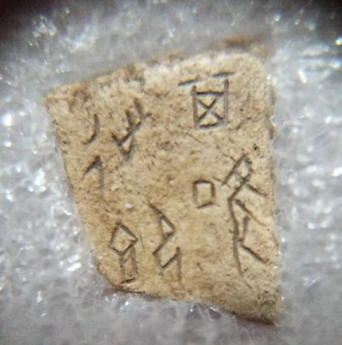 古玩雜項甲骨文真品鑒賞圖