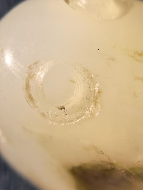 古玩玉器青蛙真品鑒賞圖