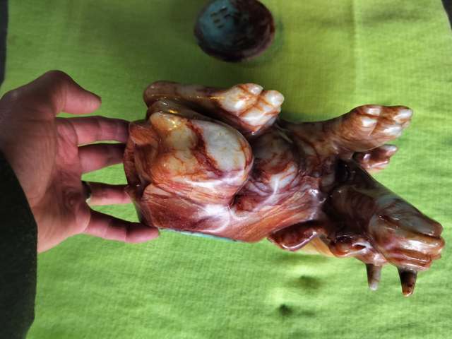 古玩雜項壽山石擺件真品鑒賞圖