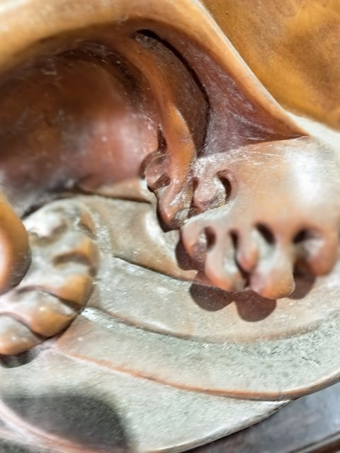 古玩雜項木雕件真品鑒賞圖