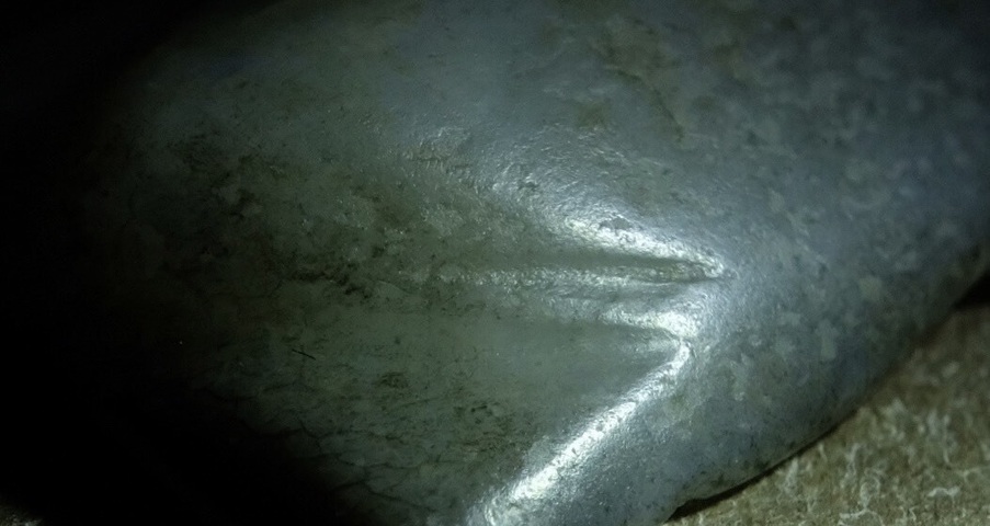 古玩玉器玉蟬真品鑒賞圖