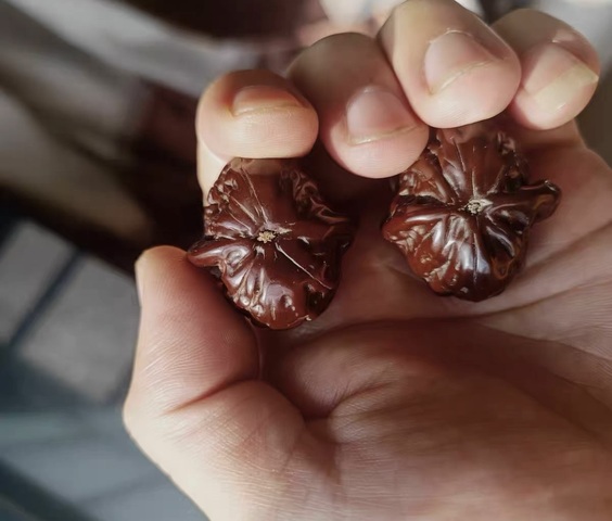 古玩雜項核桃文玩手把件真品鑒賞圖