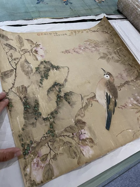 古玩字畫蔣廷錫款花鳥真品鑒賞圖